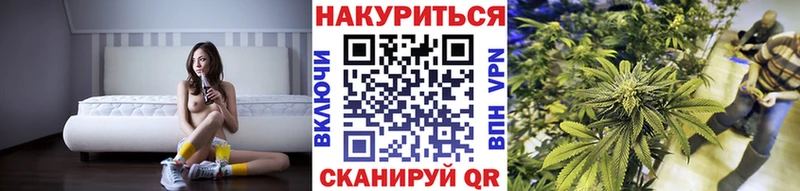 Где можно купить наркотики Сланцы Бошки Шишки  Амфетамин  МЕТАМФЕТАМИН  Cocaine  МЕФ 