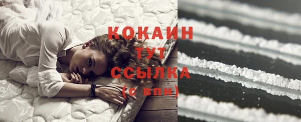 сатива Белокуриха