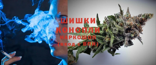 сатива Белокуриха
