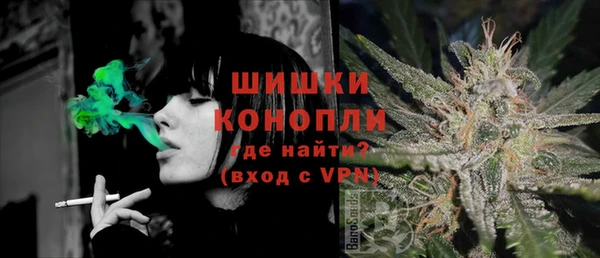 сатива Белокуриха