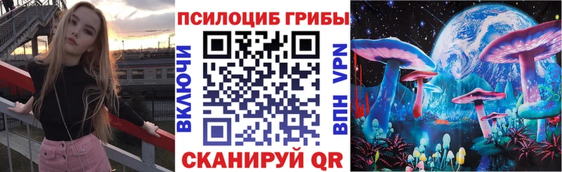 Псилоцибиновые грибы Psilocybine cubensis  Сланцы 