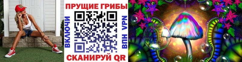 Псилоцибиновые грибы прущие грибы Сланцы